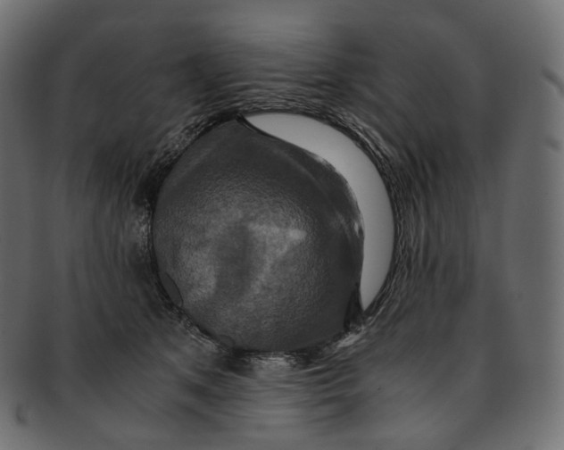 X0000091940513200710031120