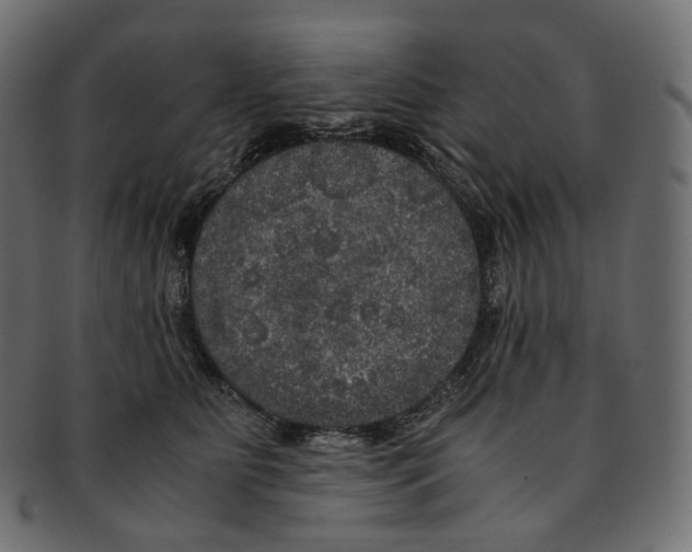 X0000091940515200710031120