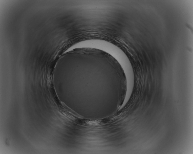 X0000091940516200710031120