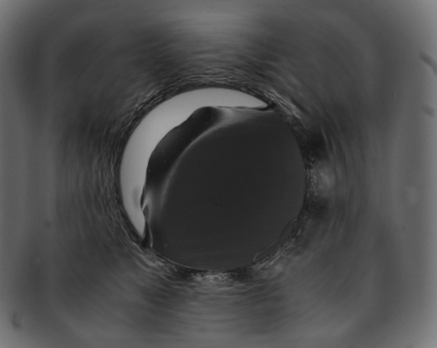 X0000091940517200710031120