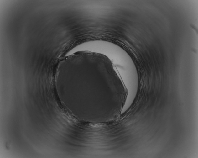 X0000091940520200710031120