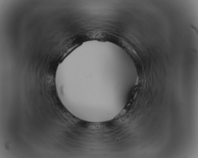 X0000091940521200710031120