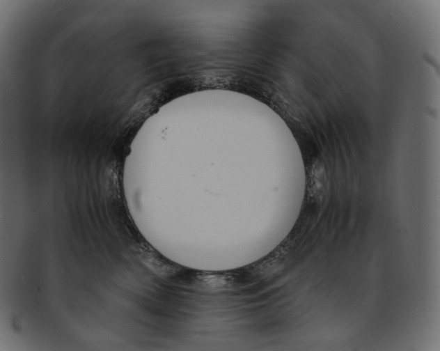 X0000091940522200710031120