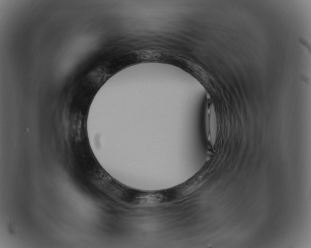 X0000091940525200710031120