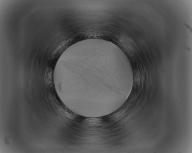 X0000091940526200710031120