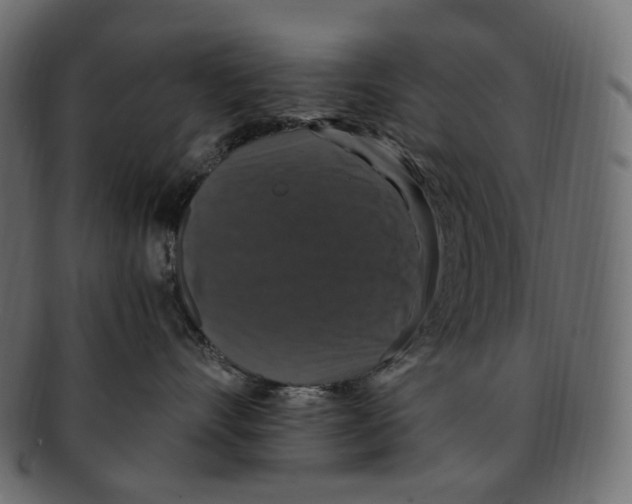 X0000091940528200710031120