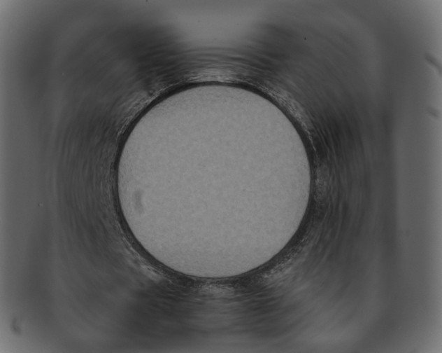 X0000091940529200710031119