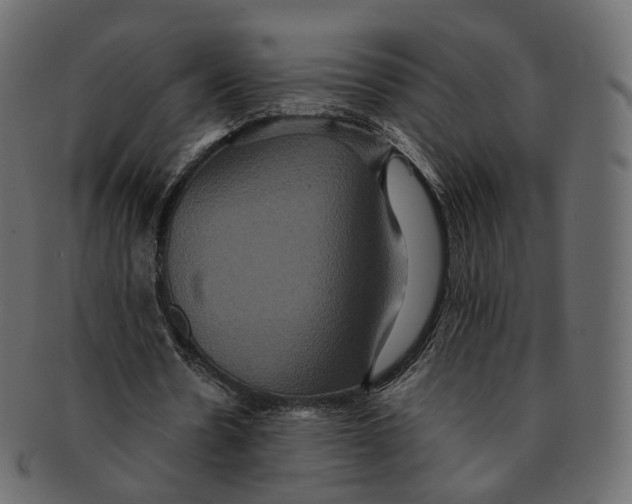 X0000091940530200710031119