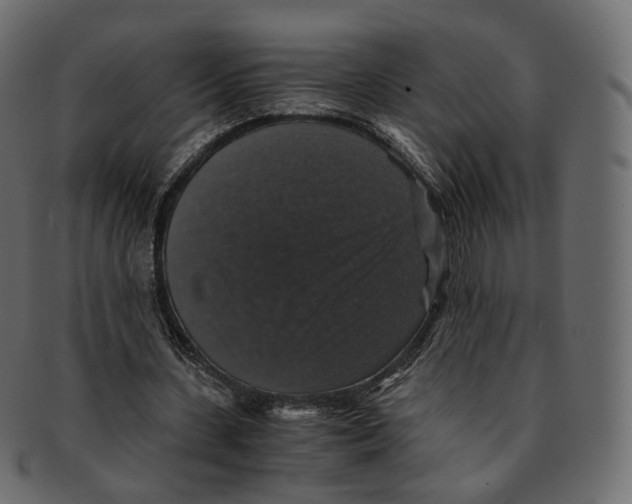 X0000091940531200710031119