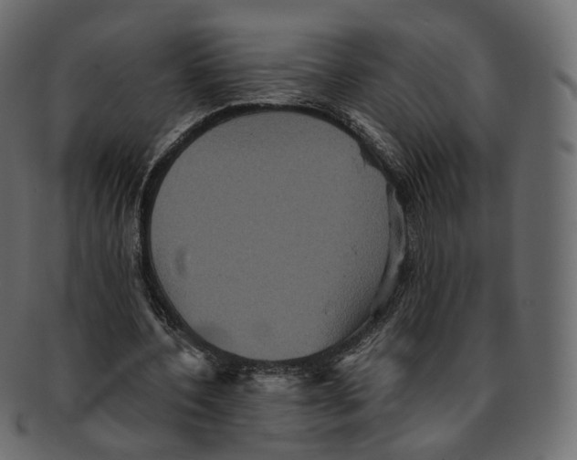 X0000091940532200710031119