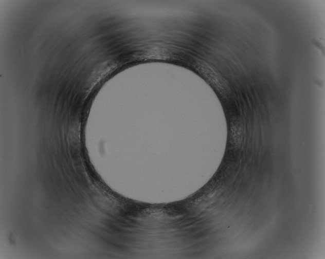 X0000091940534200710031119