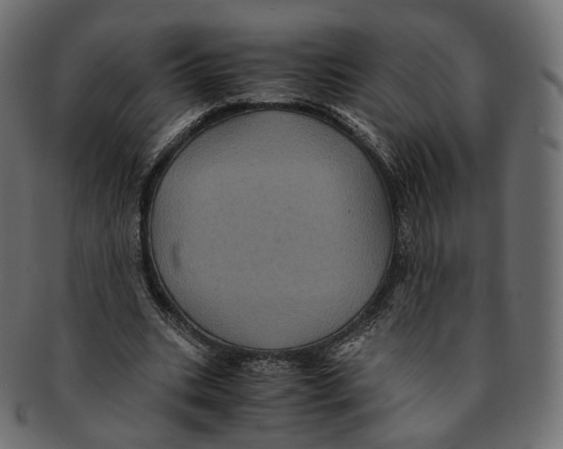 X0000091940535200710031119