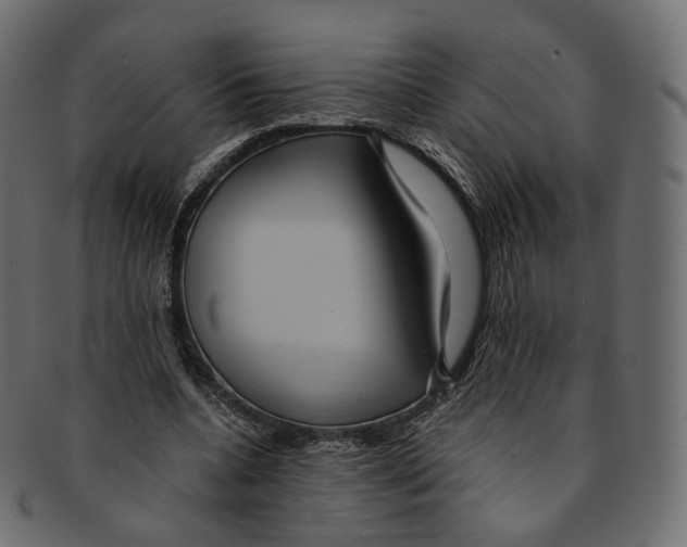 X0000091940536200710031119