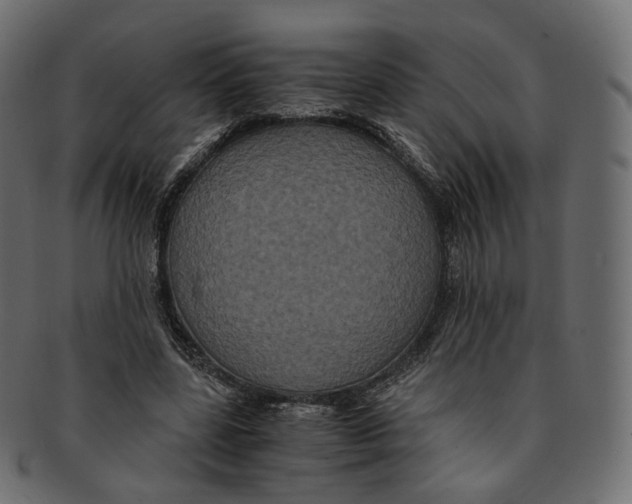 X0000091940539200710031119