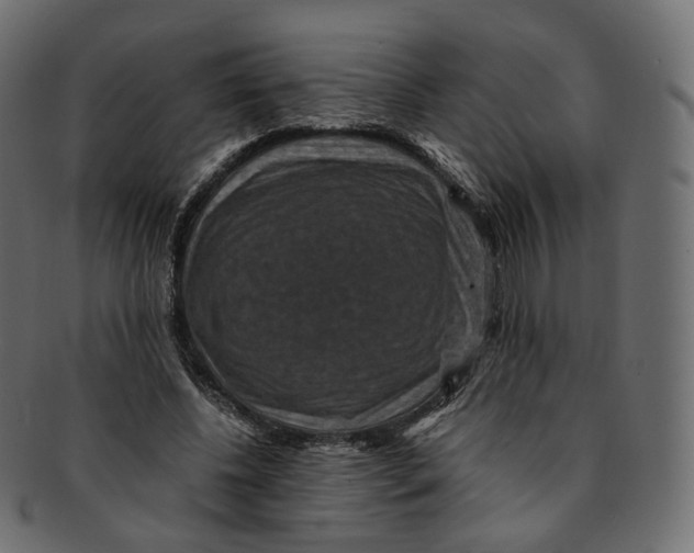 X0000091940540200710031119