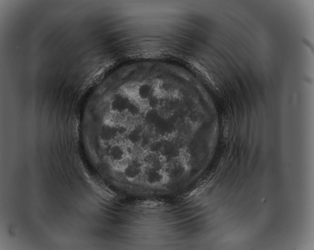 X0000091940542200710031119