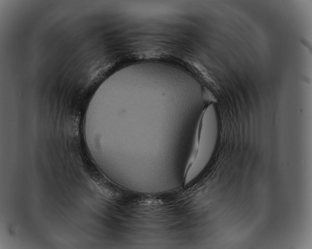 X0000091940543200710031119