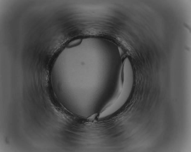 X0000091940544200710031119