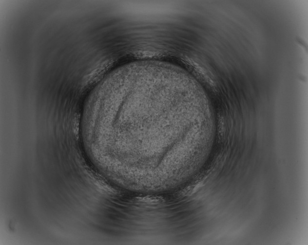 X0000091940545200710031119