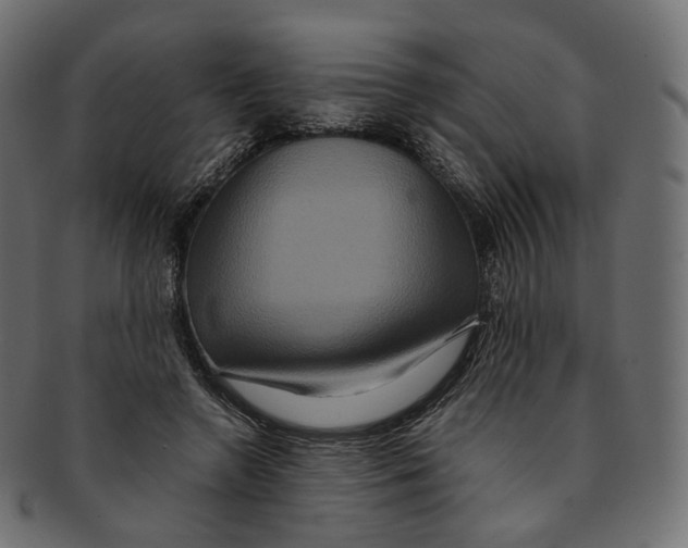 X0000091940546200710031119