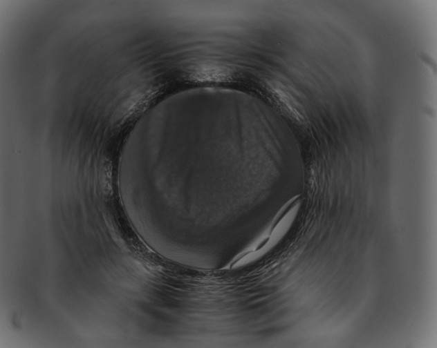 X0000091940547200710031119