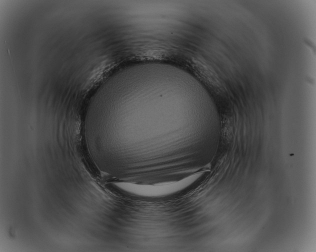 X0000091940548200710031119