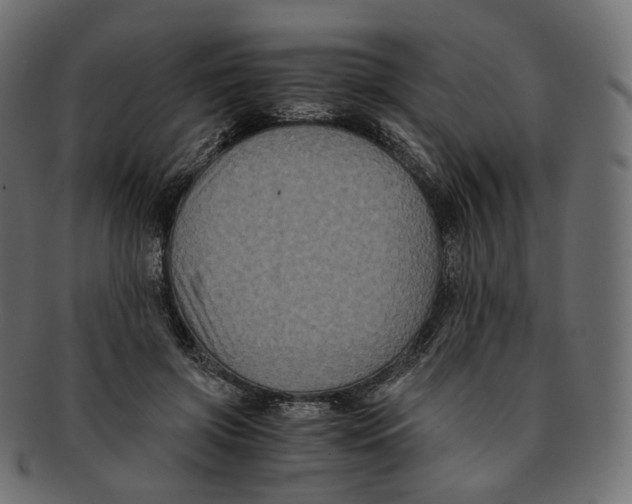 X0000091940549200710031119