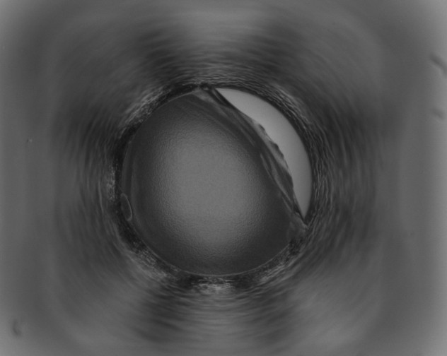 X0000091940552200710031119