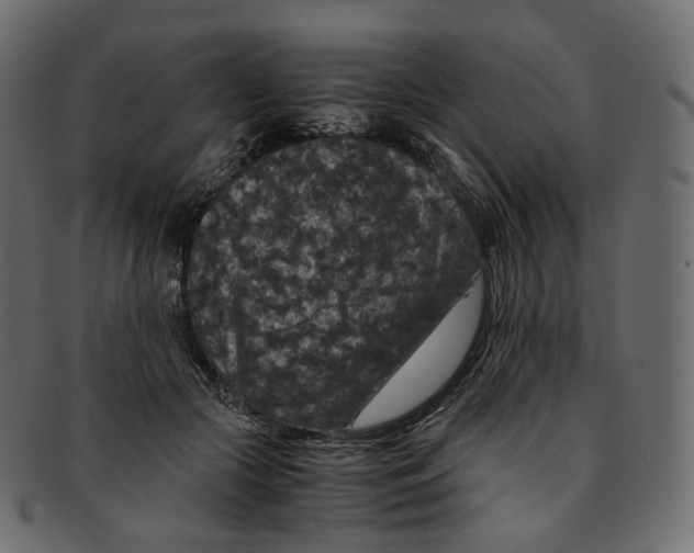 X0000091940553200710031119