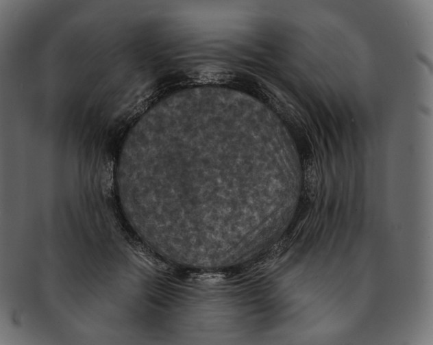 X0000091940554200710031119