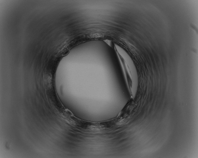 X0000091940556200710031119