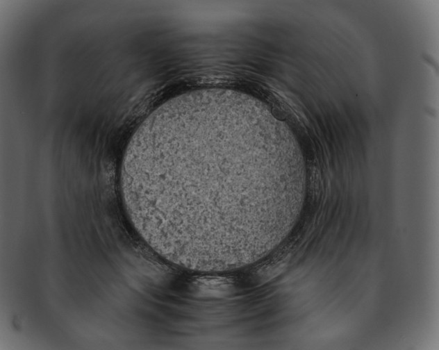 X0000091940557200710031119