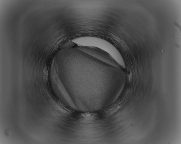 X0000091940558200710031119