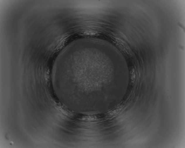 X0000091940559200710031119