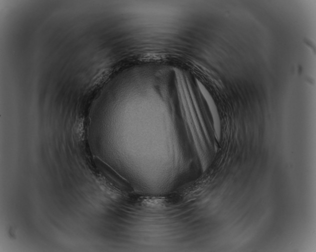 X0000091940560200710031120