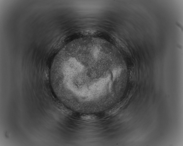 X0000091940561200710031120