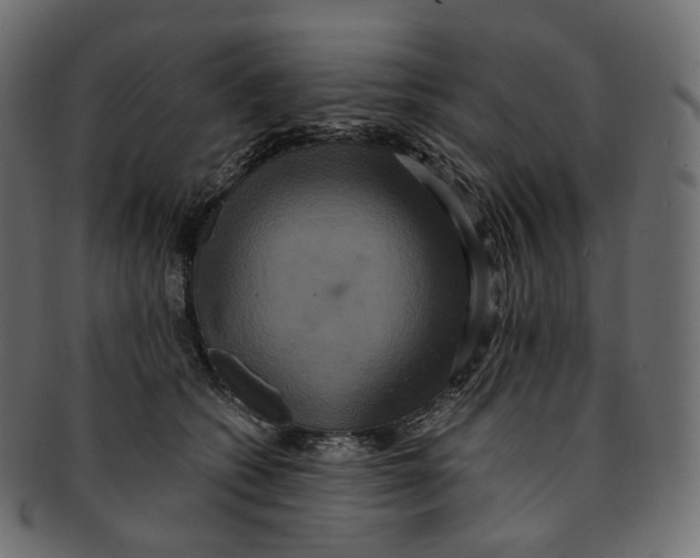 X0000091940562200710031120