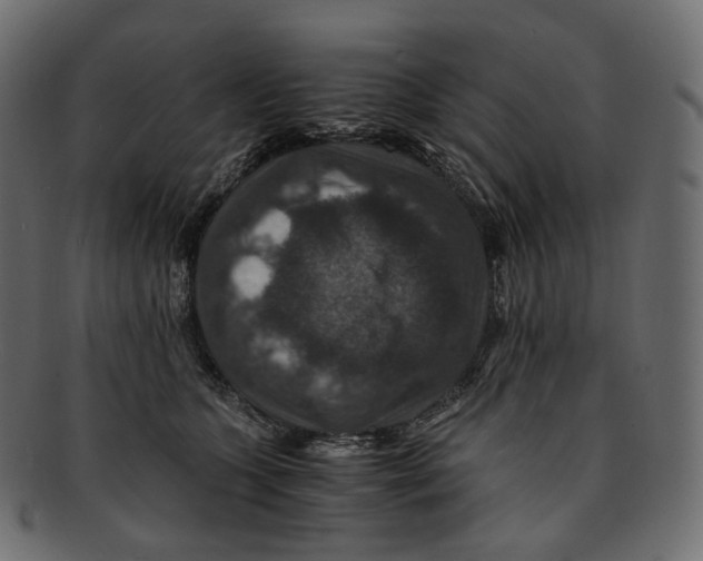 X0000091940563200710031120