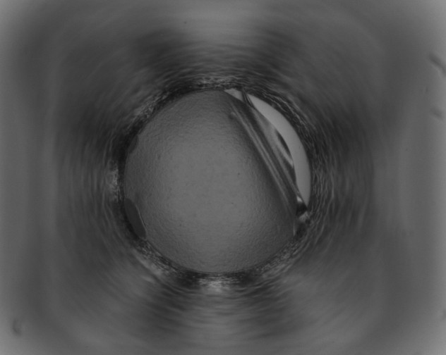 X0000091940564200710031120