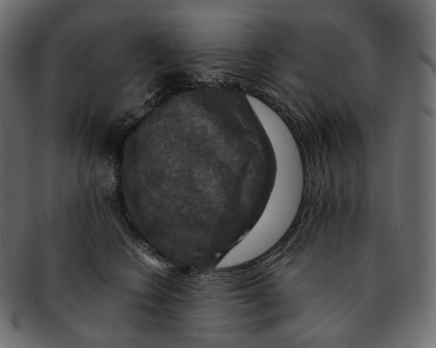 X0000091940566200710031120