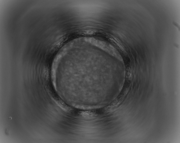 X0000091940568200710031120