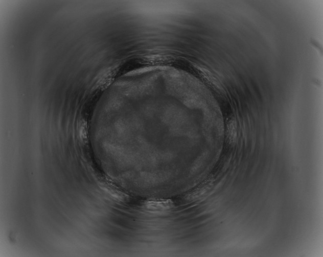 X0000091940571200710031120