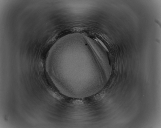 X0000091940572200710031120