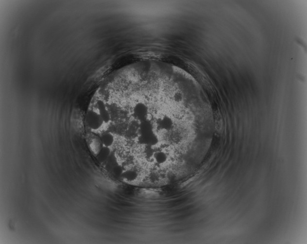 X0000091940573200710031120