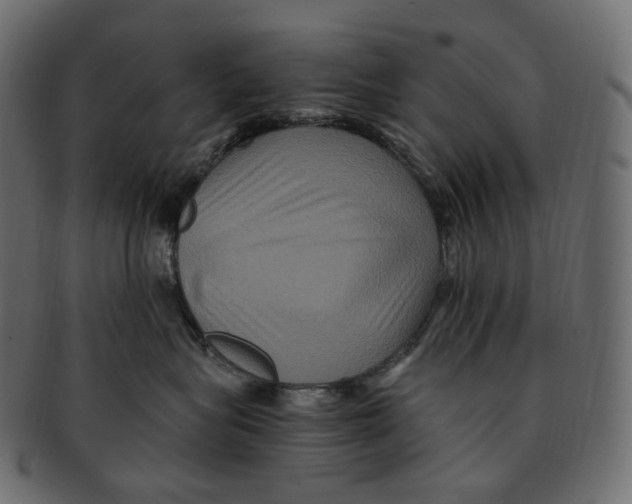 X0000091940575200710031120