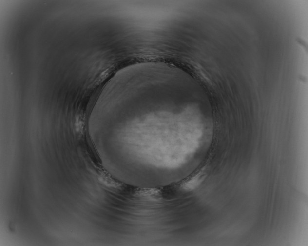 X0000091940576200710031120