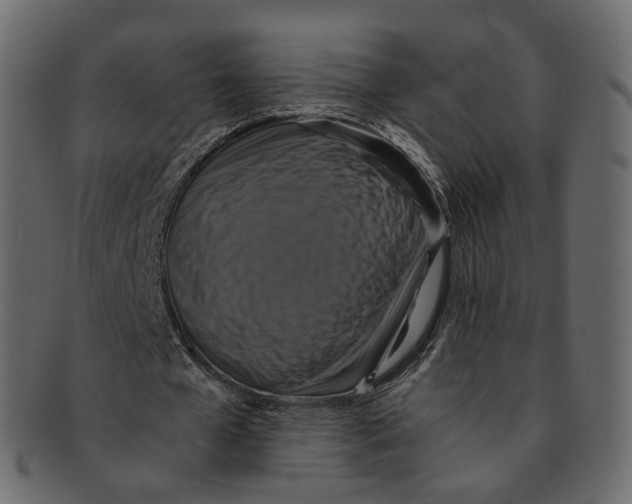 X0000091940577200710031119