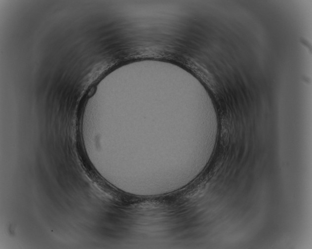 X0000091940578200710031119