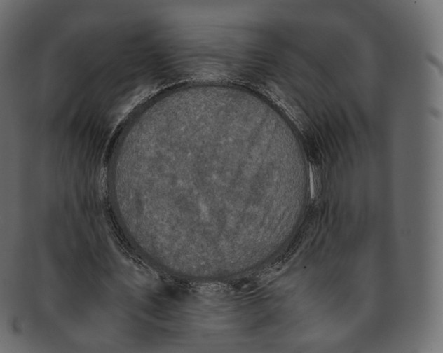 X0000091940579200710031119