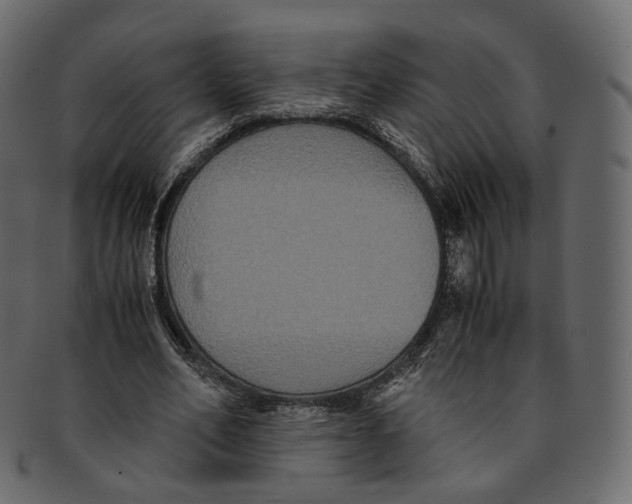 X0000091940582200710031119